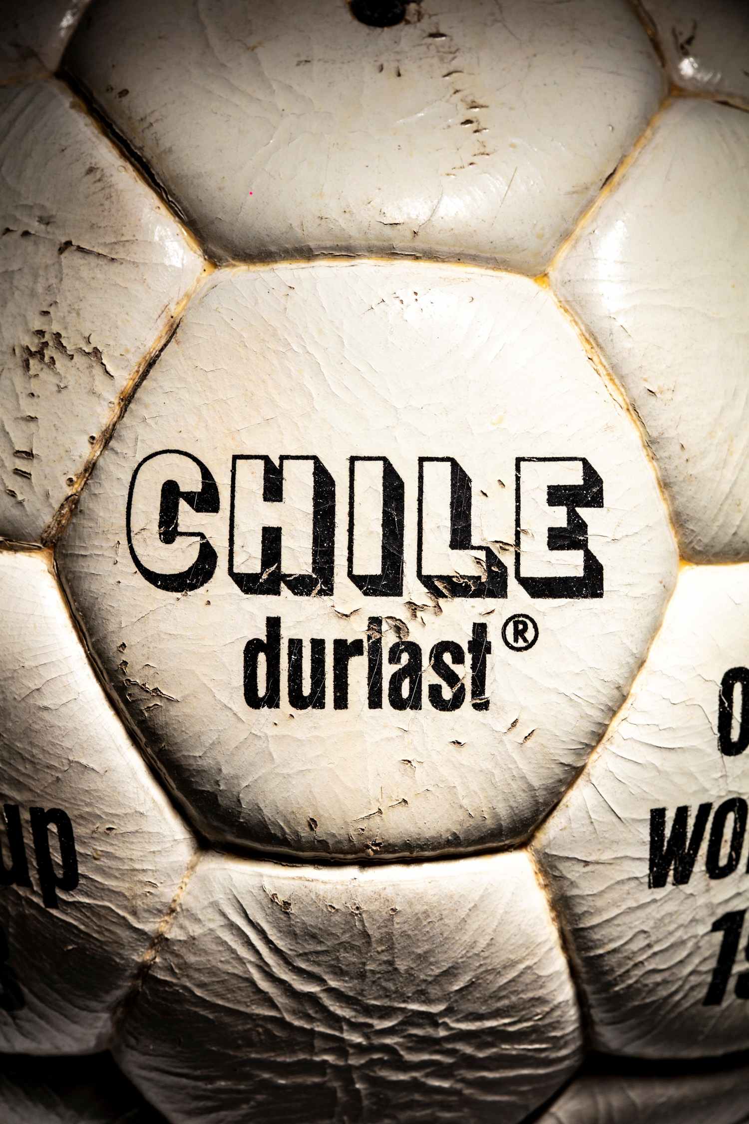 Panel principal modelo Chile durlast