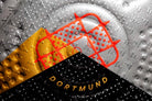 Vista de la inscripción del estadio de Dortmund. Sede oficial del torneo.