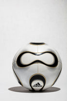 Foto completa del balón + Teamgeist oficial del mundial 2006