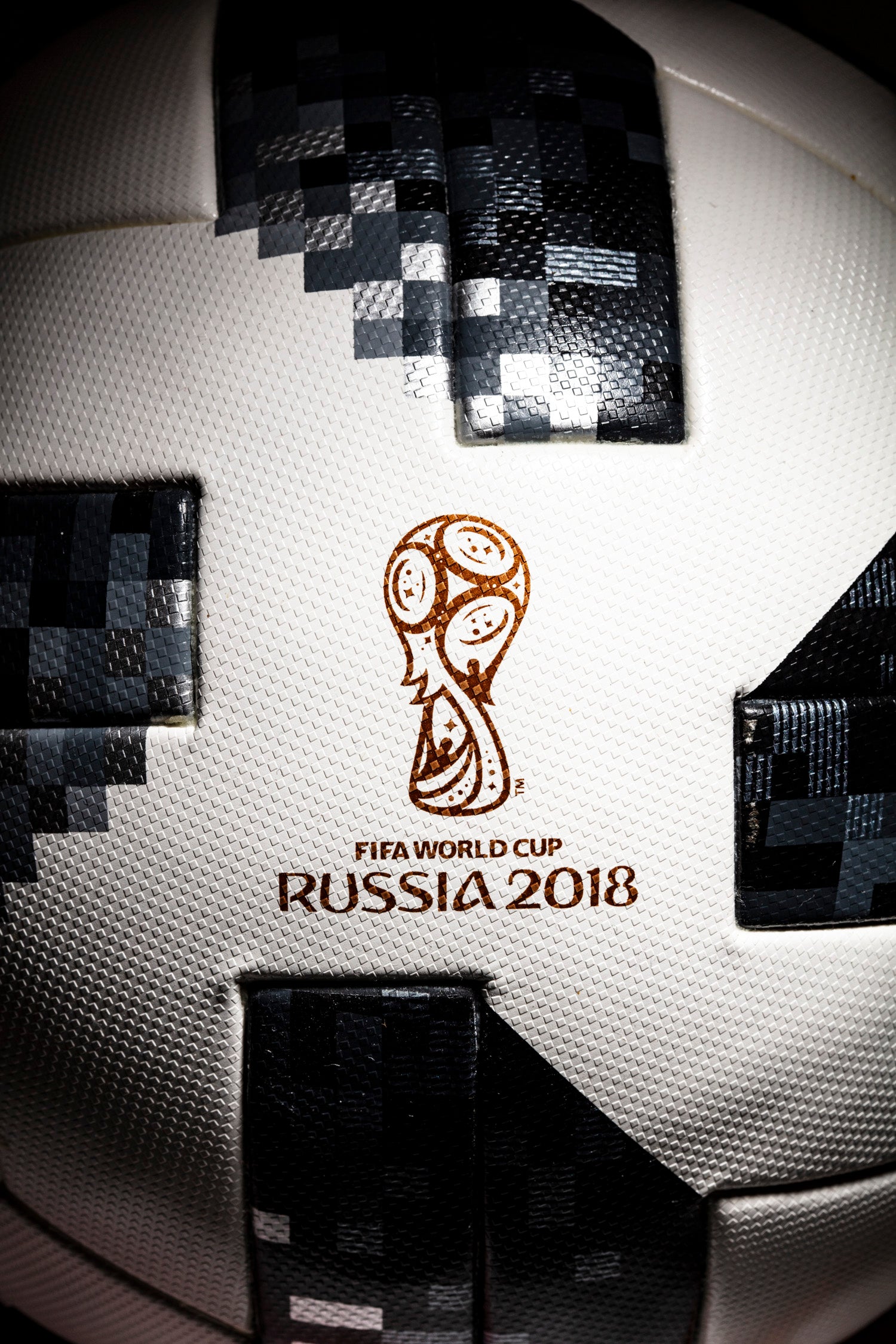 Vista del logo FIA WORLD CUP RUSSIA 2018
