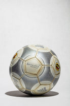 Vista frontal balón oficial Terrestra Silvestream de la Eurocopa 2000