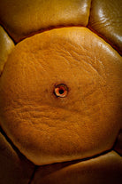 9945379